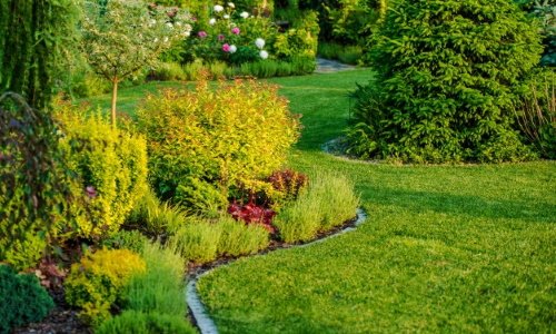 landscaping landscaping